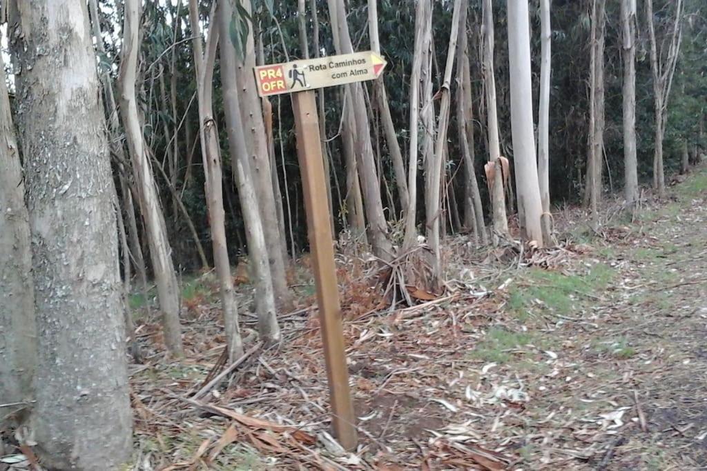 הוילה Espinho  Casa Quelha Da Presa מראה חיצוני תמונה